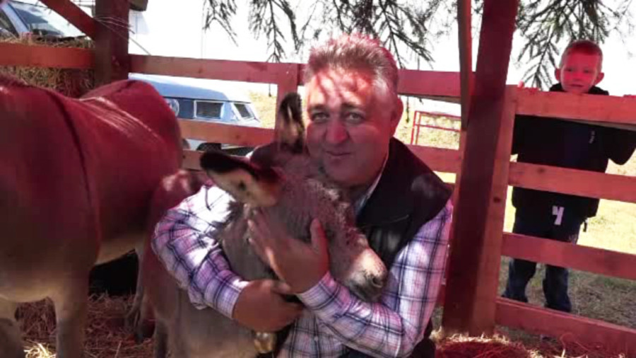 Pretul urias cu care se vinde laptele de magarita din Apuseni in piete. "Daca e medicament, e acceptabil"