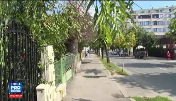 Sebastian Papaiani a murit fara sa-si vada implinita cea mai arzatoare dorinta. Ce s-a intamplat cu casa parinteasca