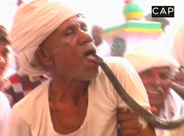 Motivul pentru care un indian se lasa muscat de limba de o cobra veninoasa. Ce se intampla dupa atacul sarpelui