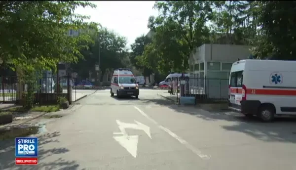 Un caine a iscat scandal pe viata si pe moarte intre doi vecini. Gestul care l-a facut pe unul din ei sa scoata cutitul