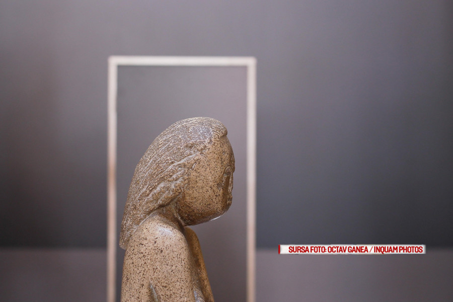 Ce vrea Guvernul sa faca cu banii pentru Cumintenia Pamantului. Cererile pot fi trimise pana pe 31 martie 2017