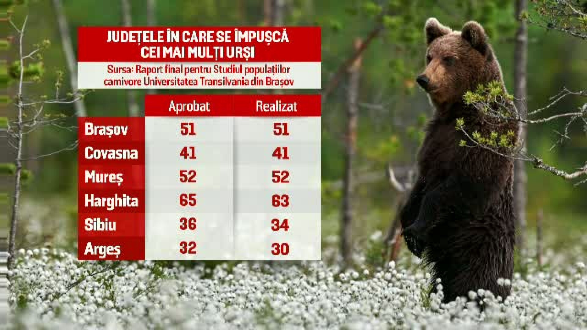 Peste 20.000 de romani au semnat petitia online impotriva uciderii a 1700 de animale salbatice