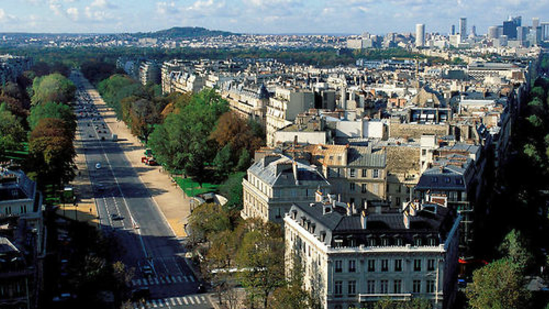 Decorator parizian, obligat de o printesa saudita sa-i sarute picioarele. "Omorati cainele, nu merita sa traiasca."