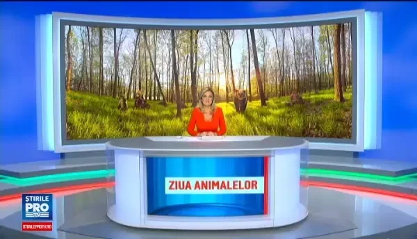 Sute de turisti insotiti de copii au sarbatorit impreuna ziua animalelor la rezervatia de ursi de la Zarnesti