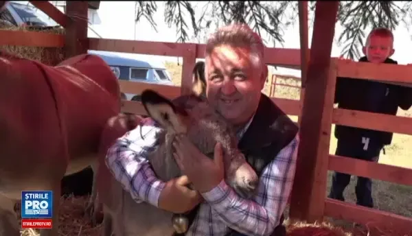 Pretul urias cu care se vinde laptele de magarita din Apuseni in piete.