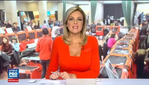 Concurs de frumusete felina, in Capitala. Care este cea mai controversata rasa de pisici