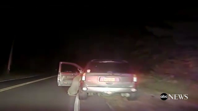 Un cerb ranit a sarit in masina unei americance. Reactia soferitei cand a vazut animalul