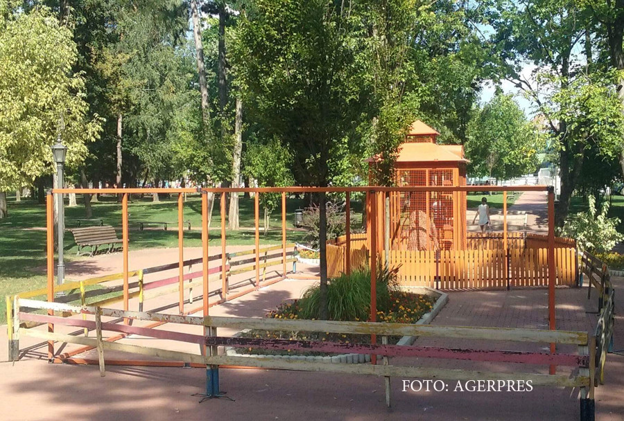 "Criza veveritelor din Bistrita" a fost rezolvata. Primaria a cheltuit 17.000 de lei pentru o cusca inutila