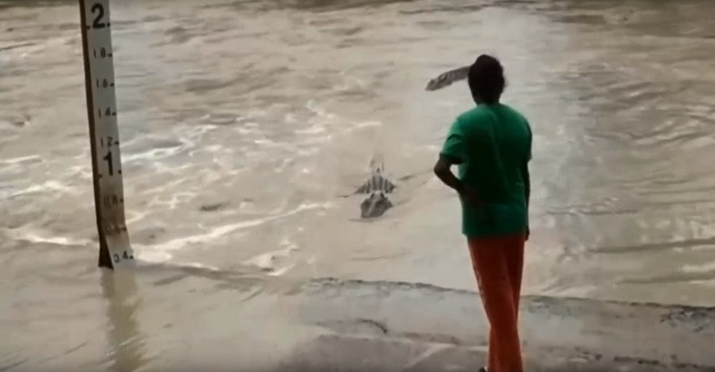 Doi crocodili se indreptau amenintatori spre ea pana a facut asta! Ce s-a intamplat cu aceasta femeie