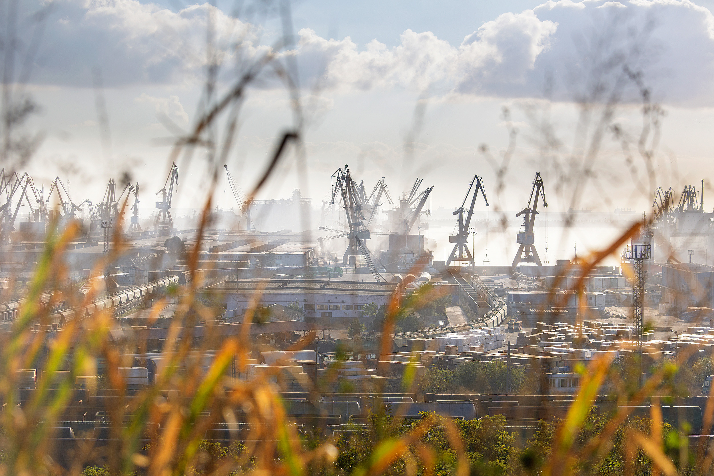A "ajutat" Romania sa devina prima tara din Europa cu un parc natural urban. Aventura pe care o puteti trai langa Bucuresti