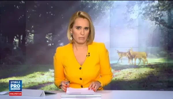 Ordinul care permitea vanarea a 1700 de ursi si lupi, retras dupa reportajul ProTV. Doar SUAS va mai putea impusca animale