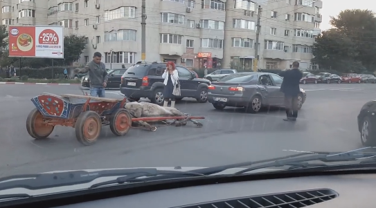 Scene revoltatoare in Constanta: si-a batut calul pentru ca animalul, ranit, nu se putea ridica. Reactia politistilor. VIDEO