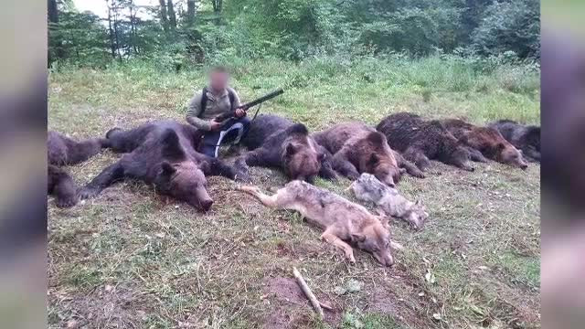 "Specialistii" care au dat unda verde cotelor de vanatoare, anchetati dupa ce procurorii au urmarit reportajele ProTV