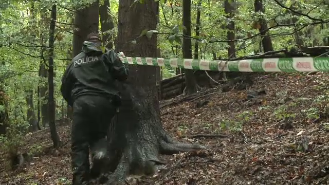 Un roman a murit in Slovacia, dupa ce avionul in care se afla s-a prabusit. Nu se cunoaste cauza accidentului