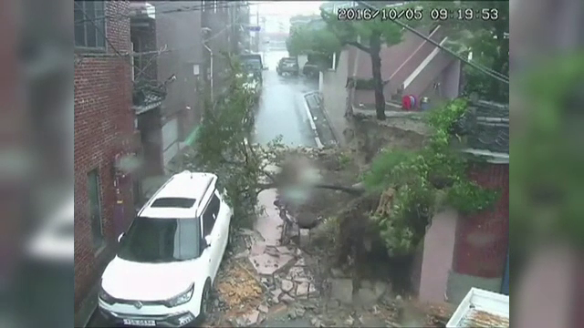 inundatii in Coreea de Sud