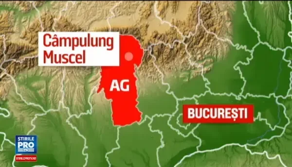 Retea de proxeneti din Campulung Muscel, anihilata de politisti. Aproape 80 de femei au fost exploatate sexual