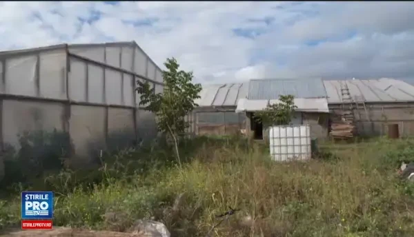 In Romania, seceta este atat de frecventa incat companiile nu incheie polite de asigurare. Ce solutie au gasit unii fermieri