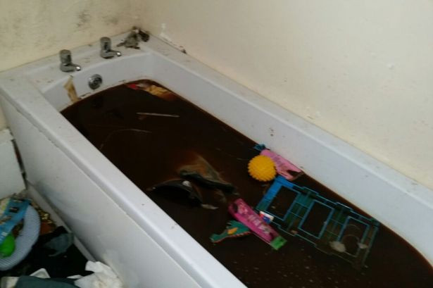 Imagini incredibile cu o casa, dupa plecarea chiriasilor. "Mirosea ca in iad, doar asa pot descrie". Ce a gasit proprietarul