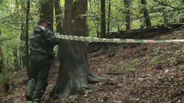 Romanul care a murit cu avionul in Slovacia voia sa-si vanda aparatul de zbor. "Am gasit trupul pilotului"