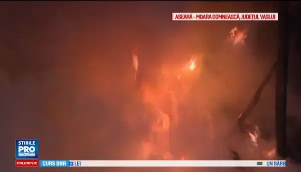 Incendiu puternic in Vaslui, extins pe patru hectare. Proprietarii suspecteaza ca flacarile au fost puse intentionat