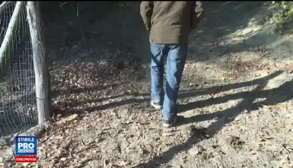 Moarte tragica pentru un padurar, dupa ce s-a impiedicat si a cazut in lama cutitului. Isi vedea de meseria lui