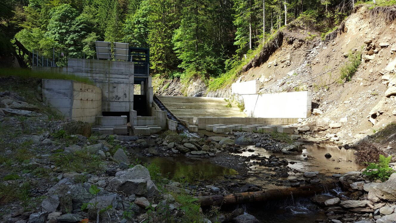 Energie verde, rauri cenusii. Microhidrocentralele transforma apele din muntii nostri in Sahara, cu aviz de la Mediu