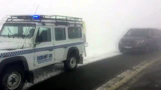 microbuz transalpina