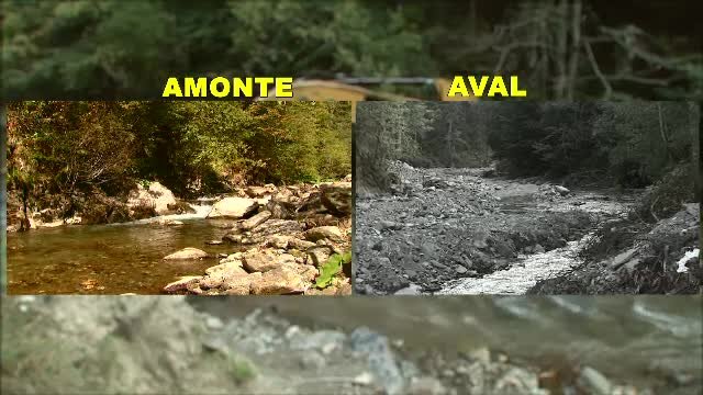 RTI dezastru ecologic