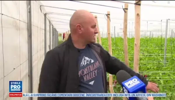 Romanii care au muncit in strainatate sunt fermieri de succes la noi: Aici, balegarul e la un pret foarte mic sau gratis