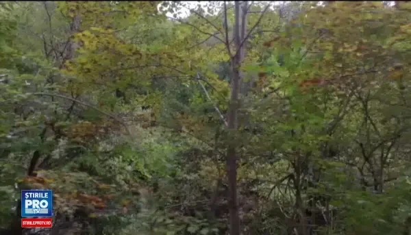 Cine ucide natura pe zone intinse in Romania. Criminalul raurilor, un individ condamnat penal, inca e in activitate