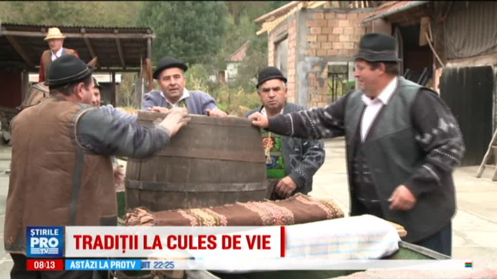 Pe Valea Tarnavelor, in Tara Vinului, traditiile se respecta intotdeauna la culesul viei: "Daca nu bem nimic, nu avem curaj"