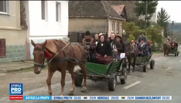 Pe Valea Tarnavelor, in Tara Vinului, traditiile se respecta intotdeauna la culesul viei: