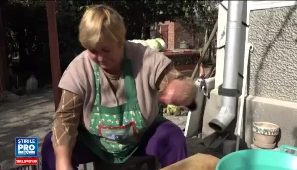 Cum am ajuns sa fim cei mai harnici din UE. Capitolul la care Romania e la distanta mare de tarile dezvoltate