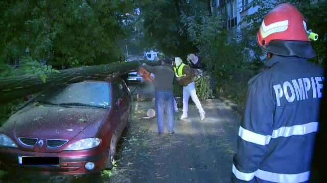 Un copac s-a prabusit peste trei autoturisme in Sectorul 3 al Capitalei. "Am vrut sa plec la serviciu si am gasit masina asa"