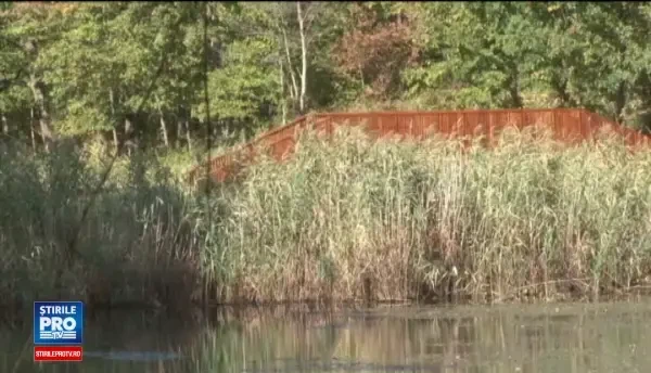 Lacul lui Eminescu de la Ipotesti este in pericol sa dispara, cu tot cu nuferii galbeni care l-au fermecat pe poet