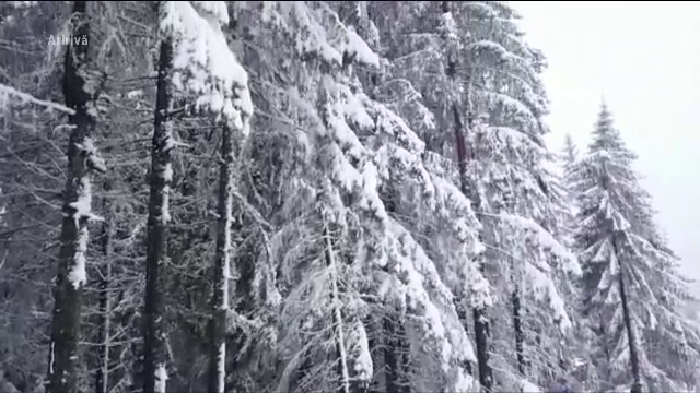 Vesti bune pentru impatimitii sporturilor de iarna. Zece tunuri cu zapada artificiala vor fi instalate in Poiana Brasov