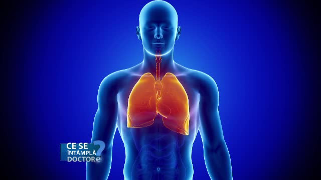 Cum facem diferenta intre o infectie si o alergie in cazul copiilor. Toamna, anotimpul perfect pentru acest test