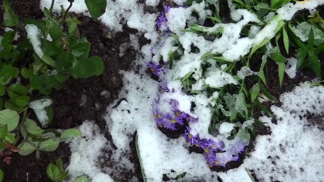 Locul din Romania unde stratul de zapada a ajuns intr-o zi la 15 cm si a acoperit drumul. Avertizarea emisa de meteorologi