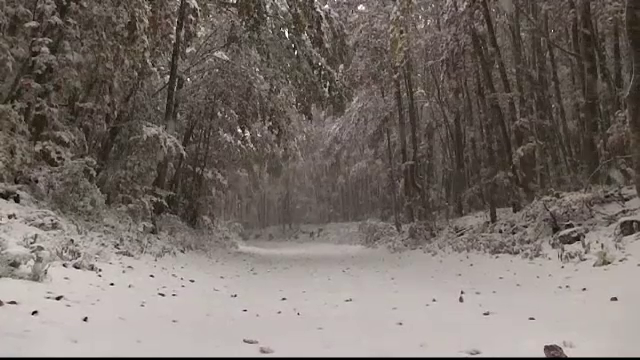 Furtuni de zapada si temperaturi neobisnuit de mici in Croatia si Bosnia. Cat va mai dura vremea rea