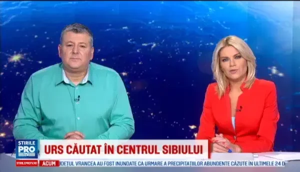 iLikeIT. Aplicatia care te face observator la vot. Cum poti sa opresti fraudele la alegerile din decembrie