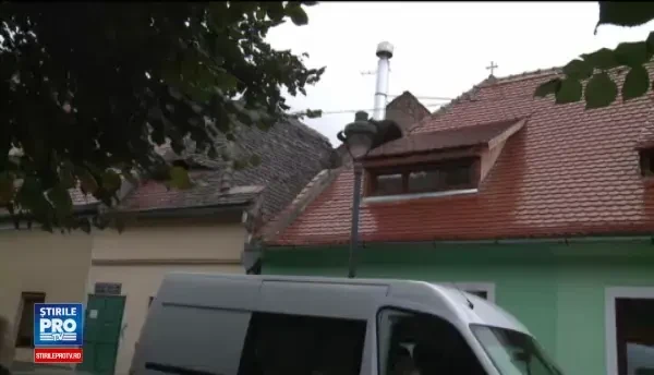 Asociatiile pentru protectia animalelor reactioneaza dupa uciderea ursului din Sibiu. Ce au povestit martorii