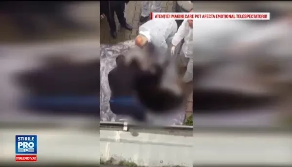 Ursul omorat in Sibiu avea 4 ani. Au tras o singura doza de tranchilizant si au ratat, apoi au tras un glont si l-au ucis