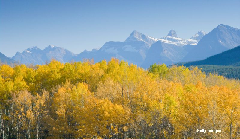 Vreme frumoasa si calda, cu temperaturi in crestere. Ziua in care vantul prinde putere si se face foarte frig