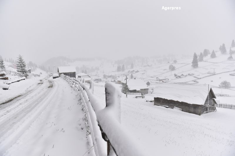 Peisaj de iarna in Vatra Dornei. Cum arata zona dupa ce a nins puternic, timp de doua ore