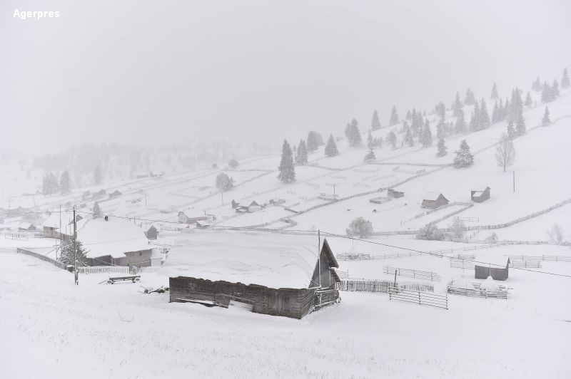 Ninsoare Vatra Dornei