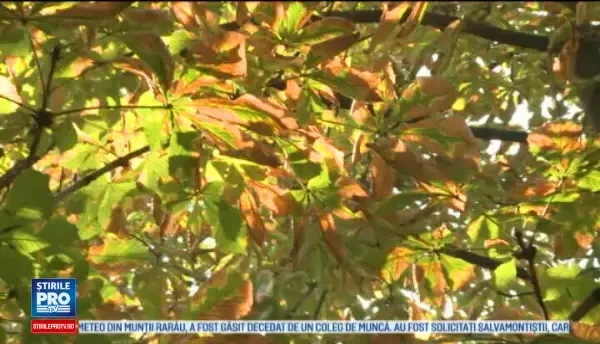 Horoscop 14 octombrie 2016. Capricornii sunt plini de energie si au chef de sport, iar Taurii isi fac timp pentru plimbari