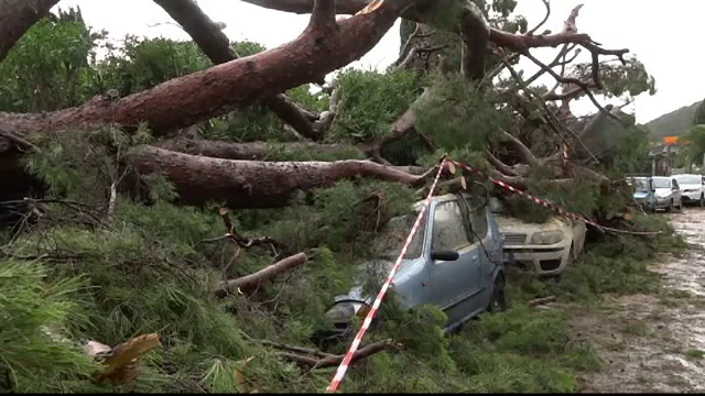 Furtuni violente in Franta, Italia si Spania. Pagube materiale importante, dupa ce vantul a smuls copacii din radacini