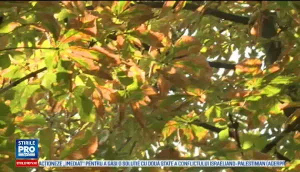 Horoscop 15 octombrie 2016. Astazi, Racii isi salveaza relatiile, casniciile, iar Pestii primesc vesti bune