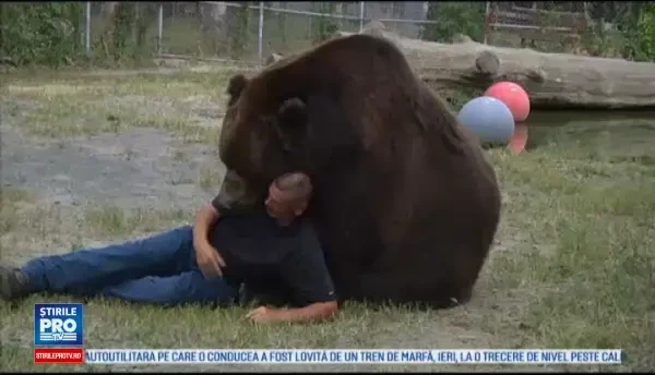 Metodele riscante prin care un american alina durerea ursilor ramasi orfani. Daca nu le-ar placea, ai afla imediat