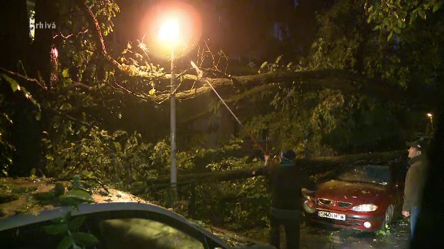 Sfarsit cumplit pentru un barbat din Constanta. A murit strivit de un copac pe care ar fi incercat sa-l taie